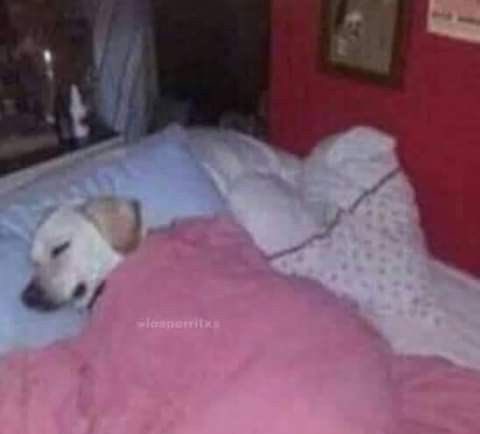 ¿Por qué es Tendencia? tweet media