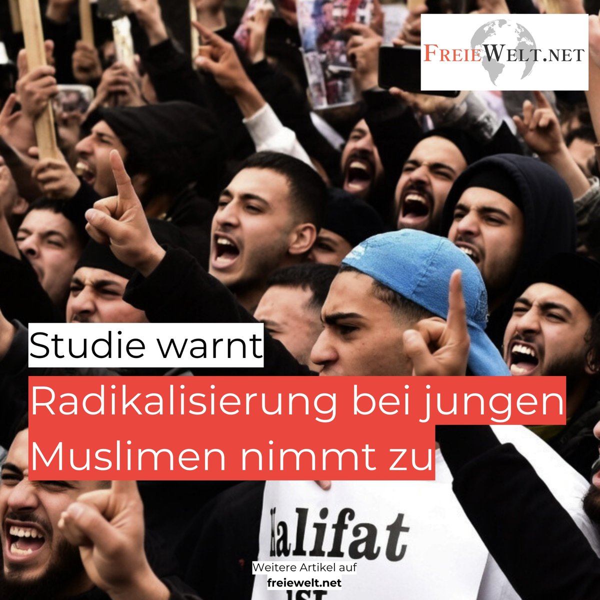FreieWelt.net tweet media