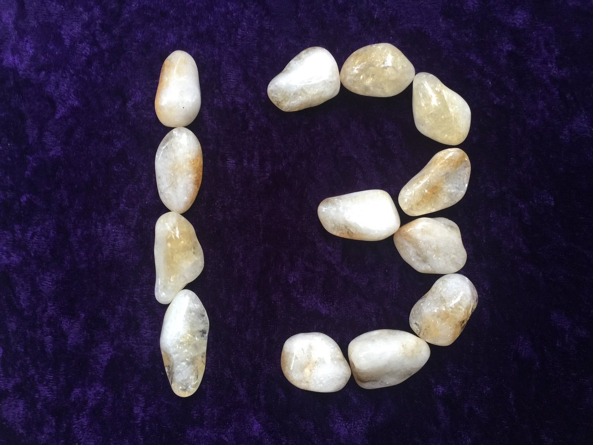 Selena Fox tweet media