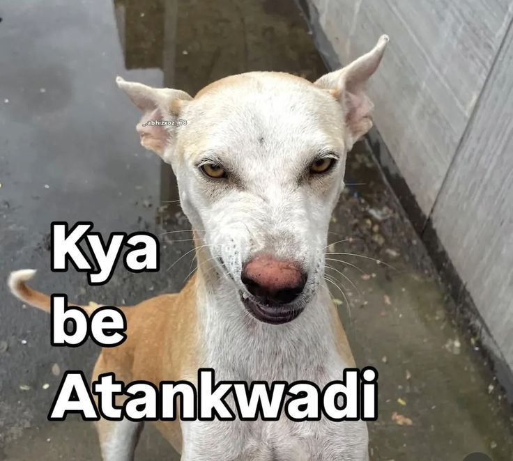 Vishvak Sena tweet media