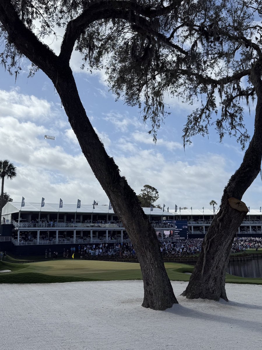 Gabby Herzig tweet media