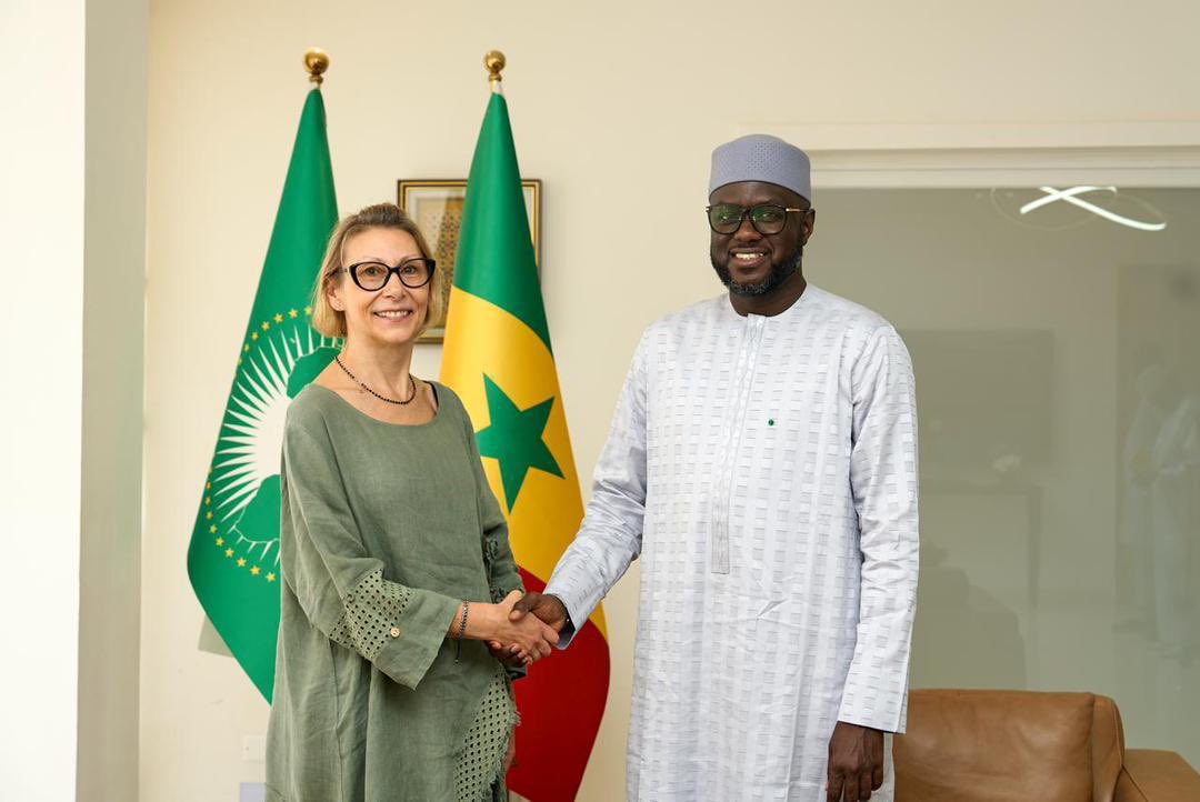 Ambassade de Pologne à Dakar tweet media