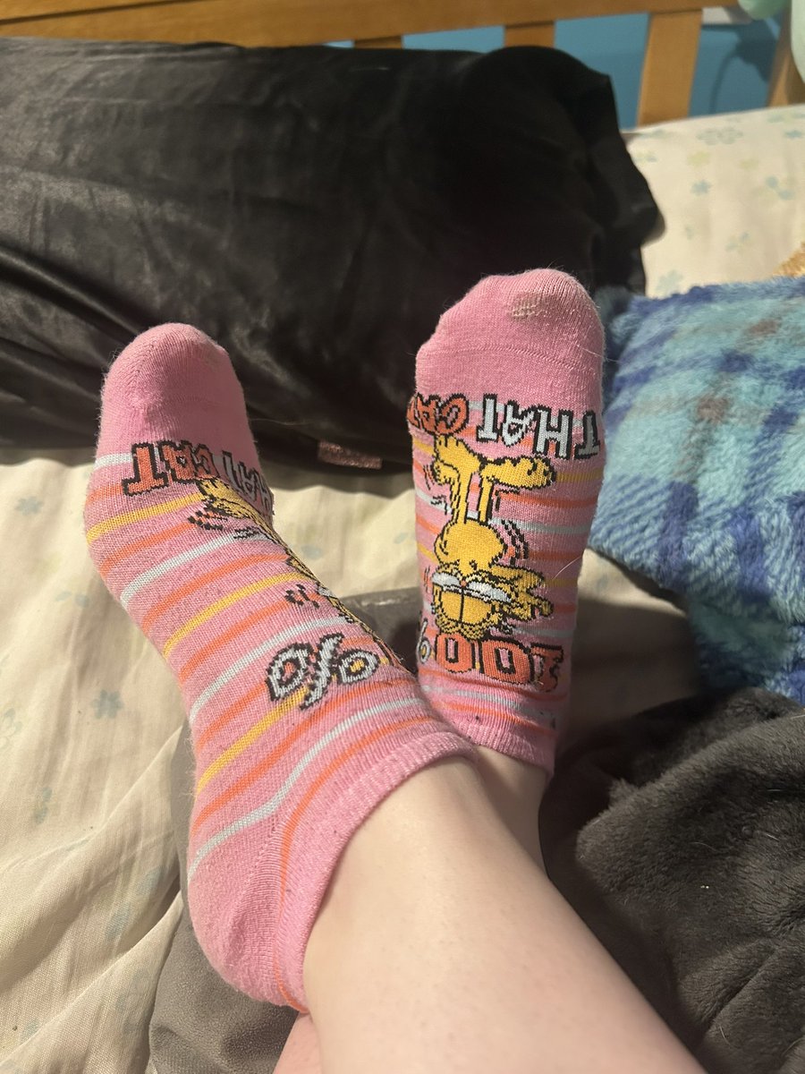 Socks of the day 😻