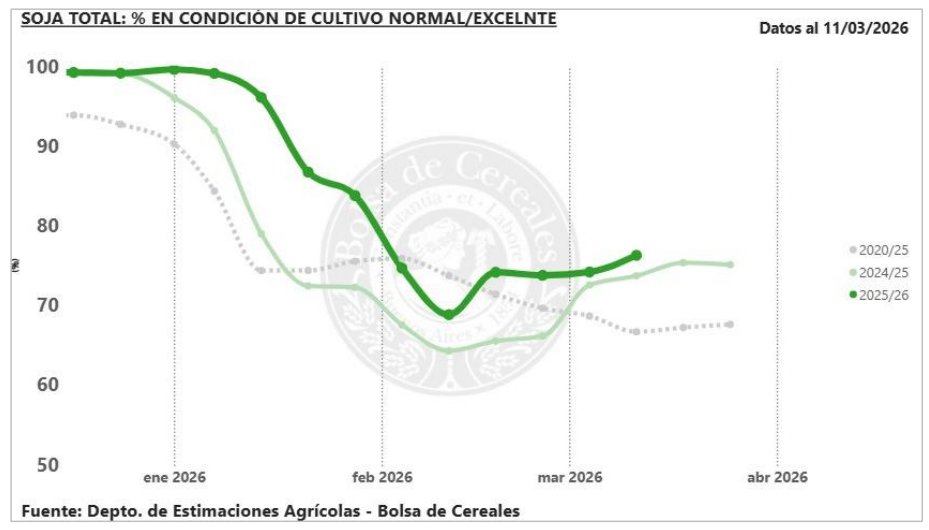Mariela Brandolin tweet media