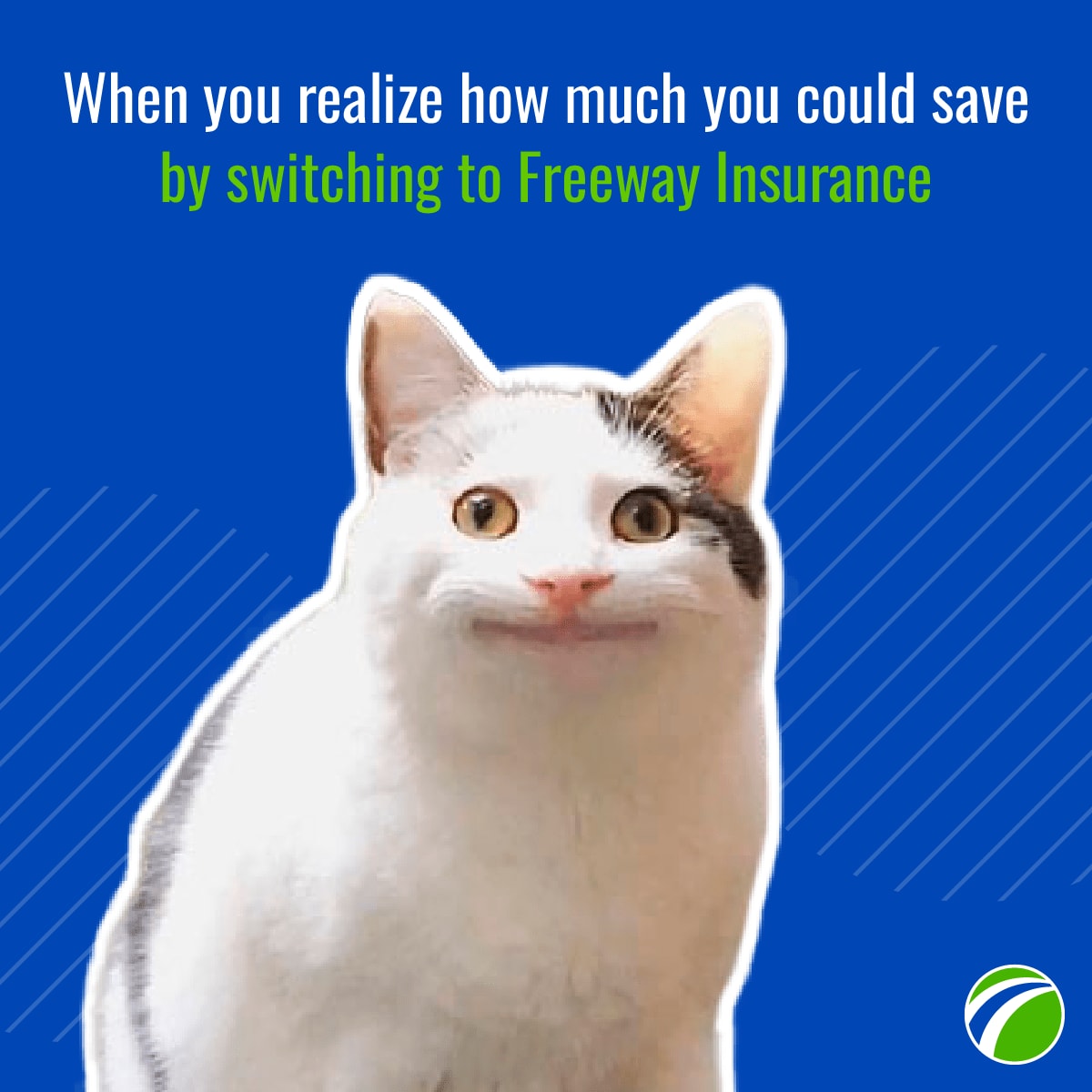 Freeway Insurance tweet media