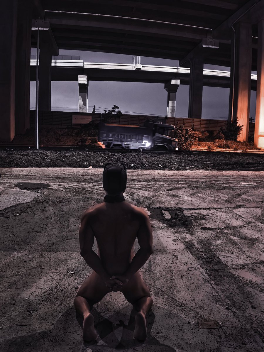 嘉禾博 tweet media