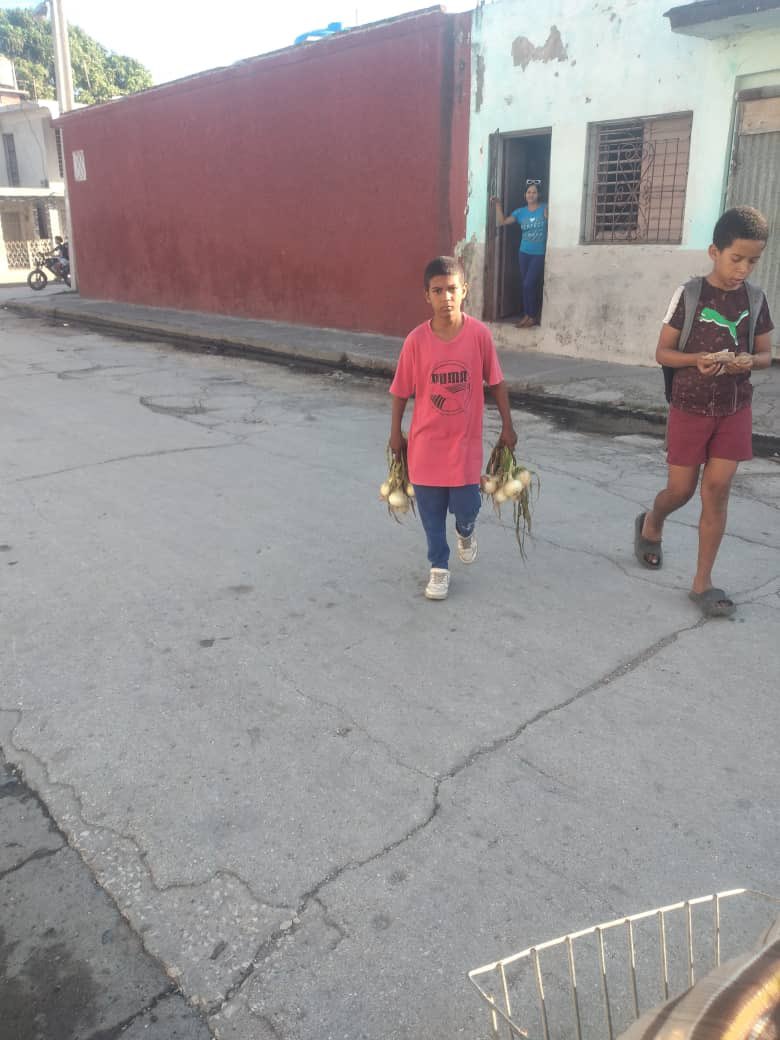 Alexander Figueredo tweet media