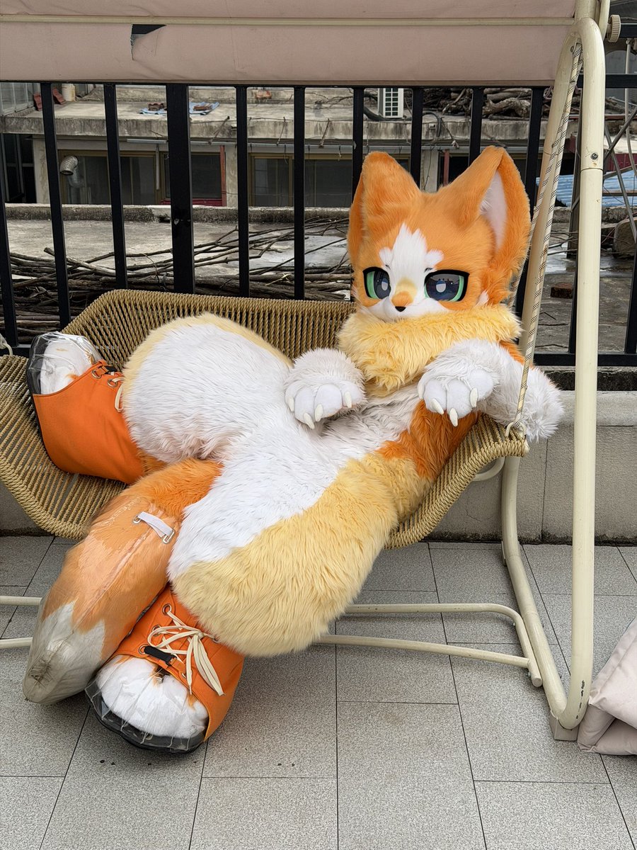 咪喵&米乔 tweet media