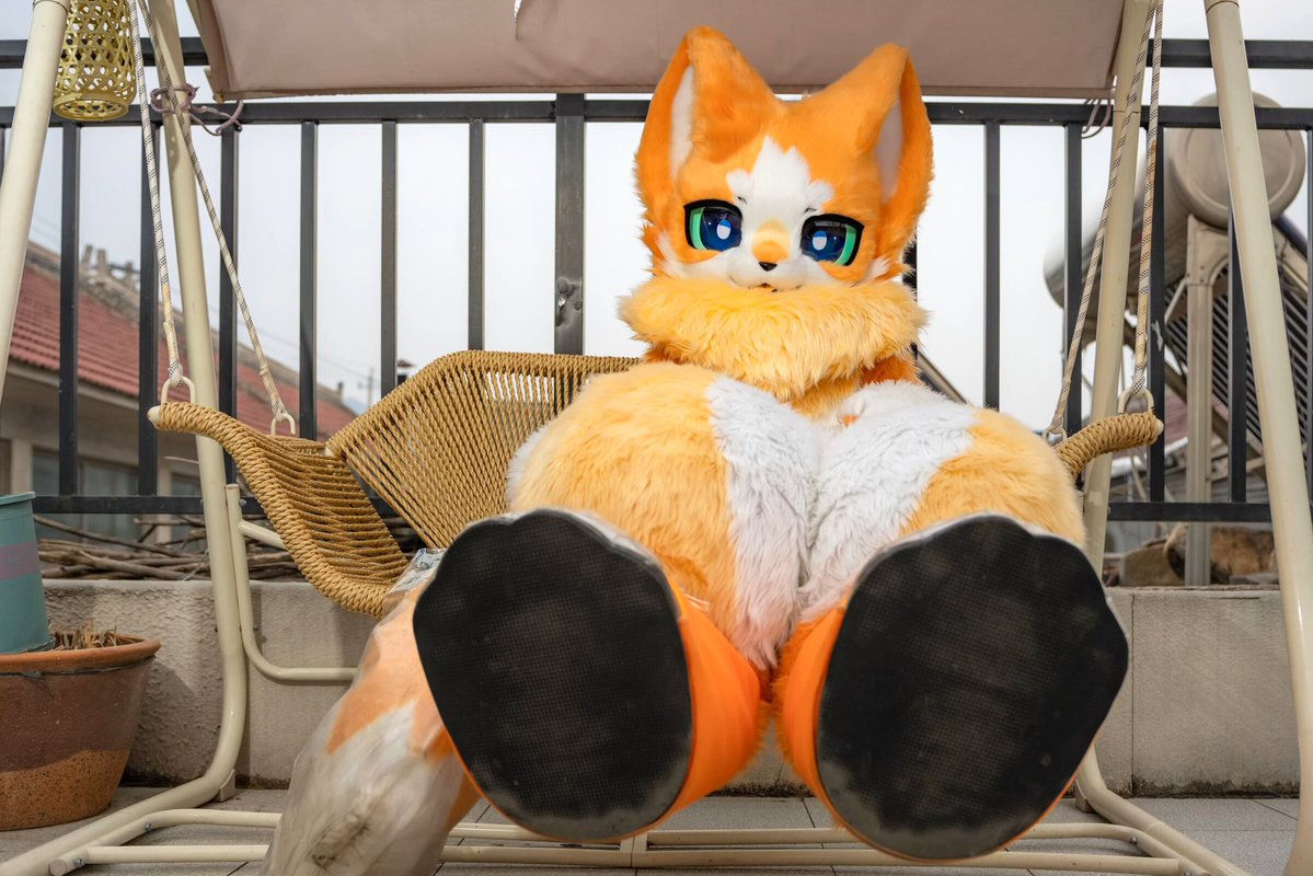 咪喵&米乔 tweet media