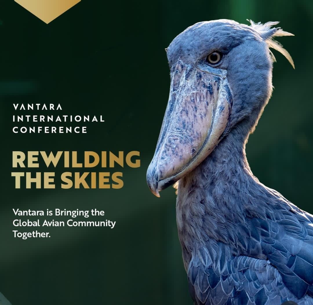 Wildlife ko priority dena har koi nahi karta, par Vantara ke through Anant Ambani ne strong message diya hai.