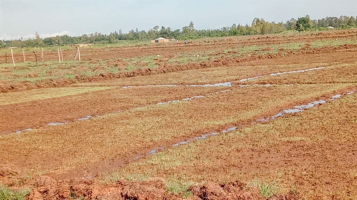 CPA Wycliffe Ochiaga, EBS tweet media