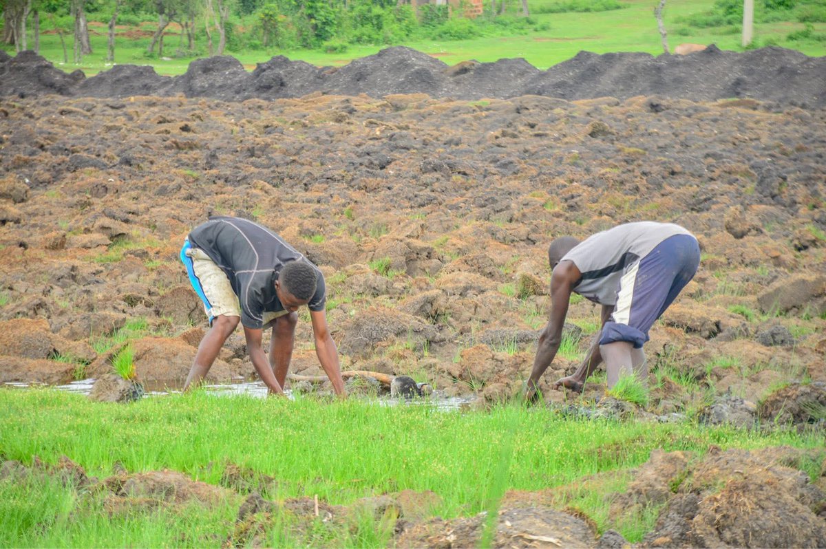 CPA Wycliffe Ochiaga, EBS tweet media