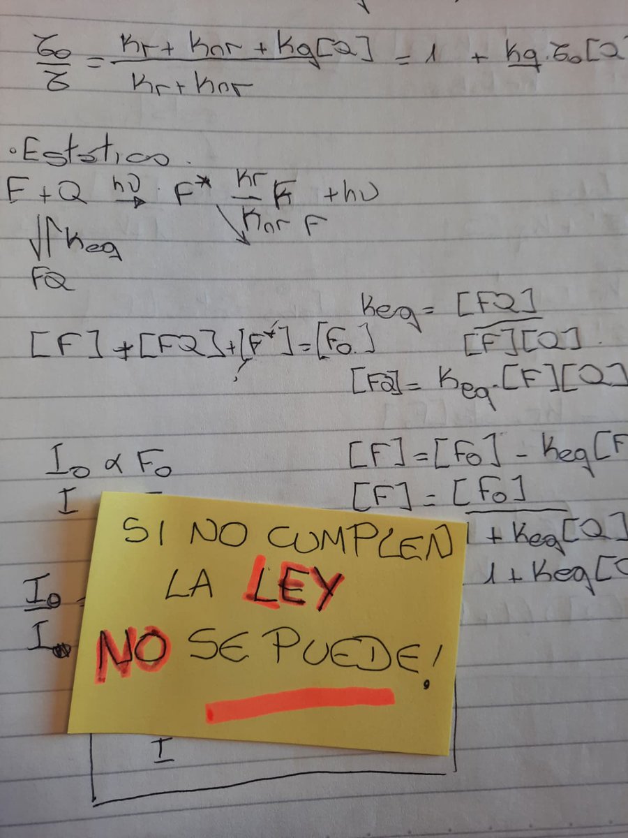 VLeviLab tweet media