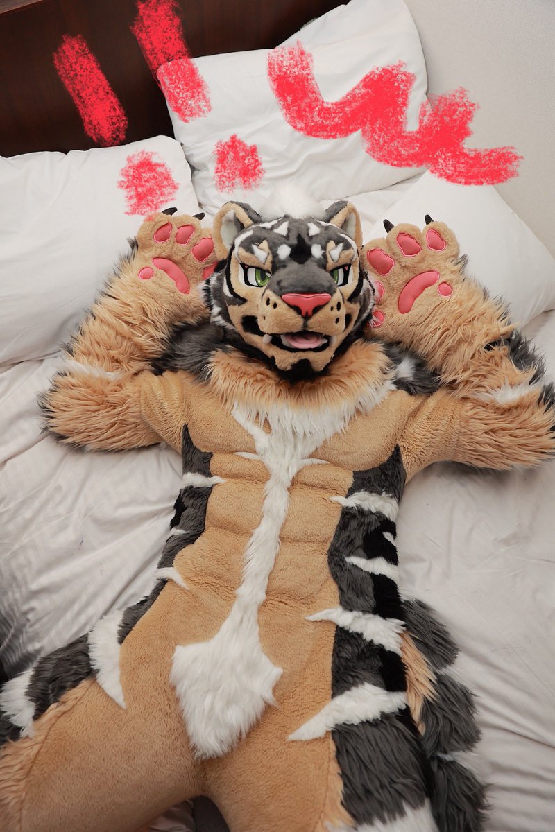 Zephyr🔜 Thaitails🇹🇭 tweet media