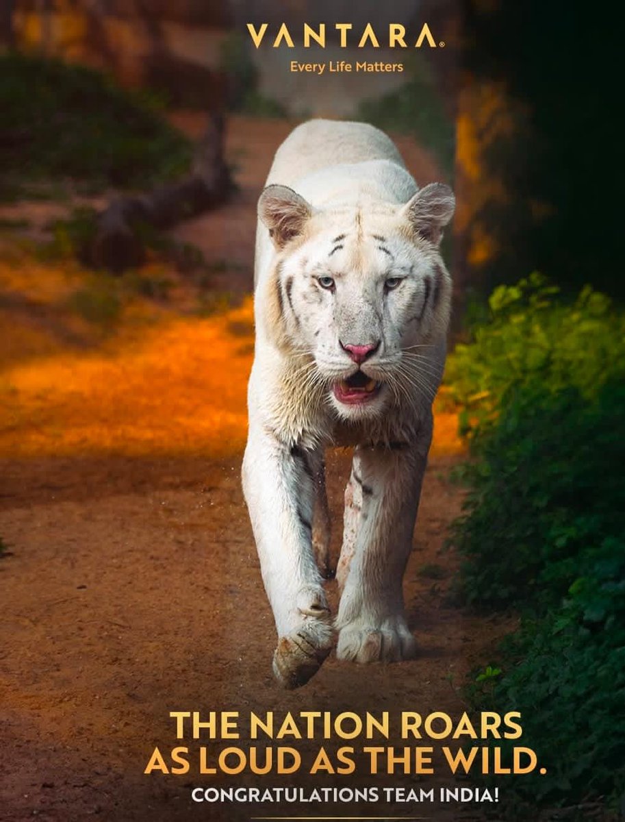 Animals ka calm routine Vantara mein positive signal deta hai. Credit to Anant Ambani.