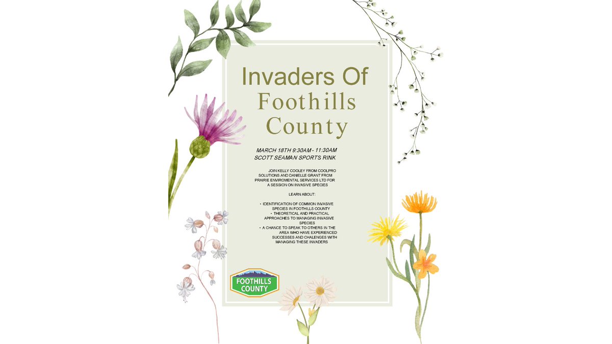 Foothills County tweet media