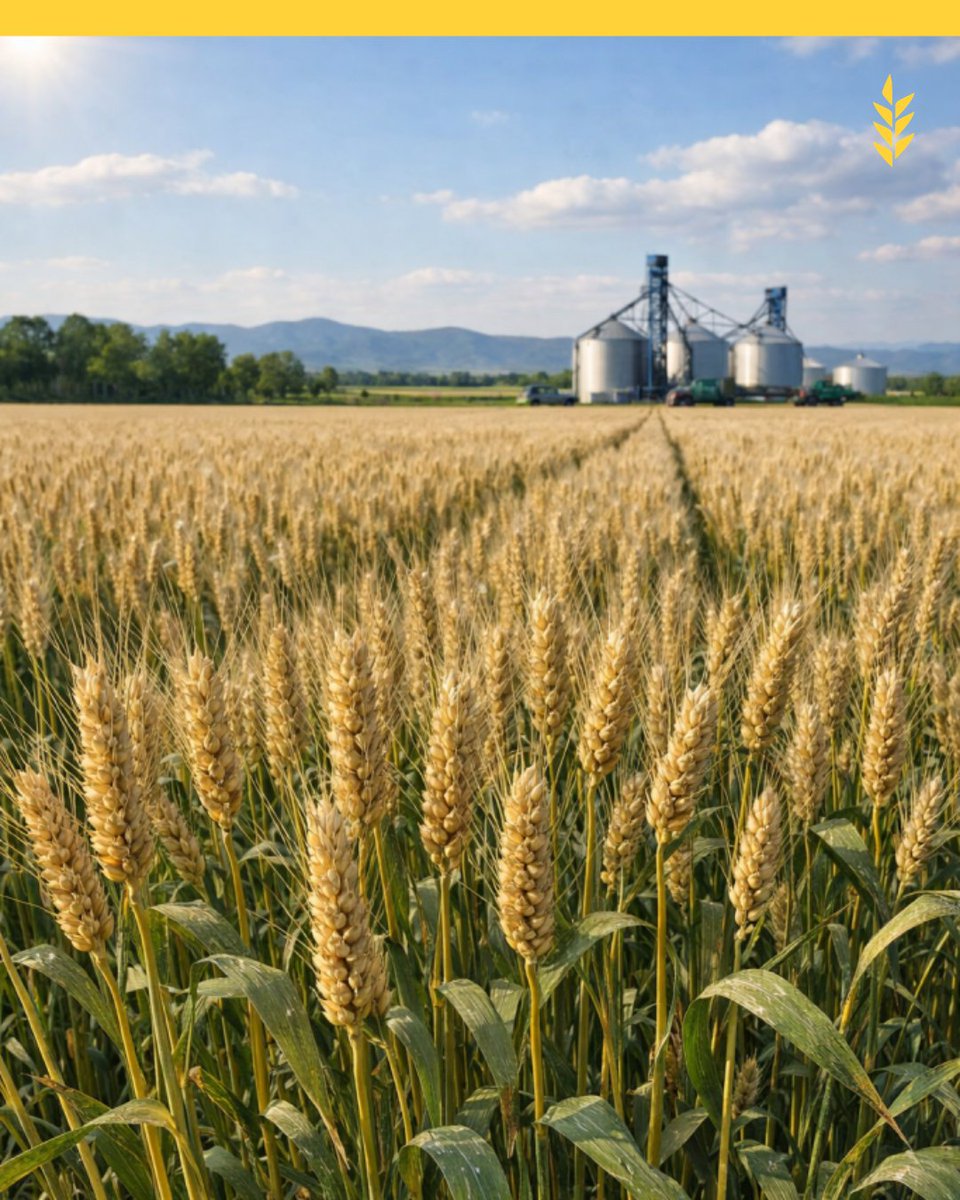 Bolsa de Cereales de Córdoba tweet media