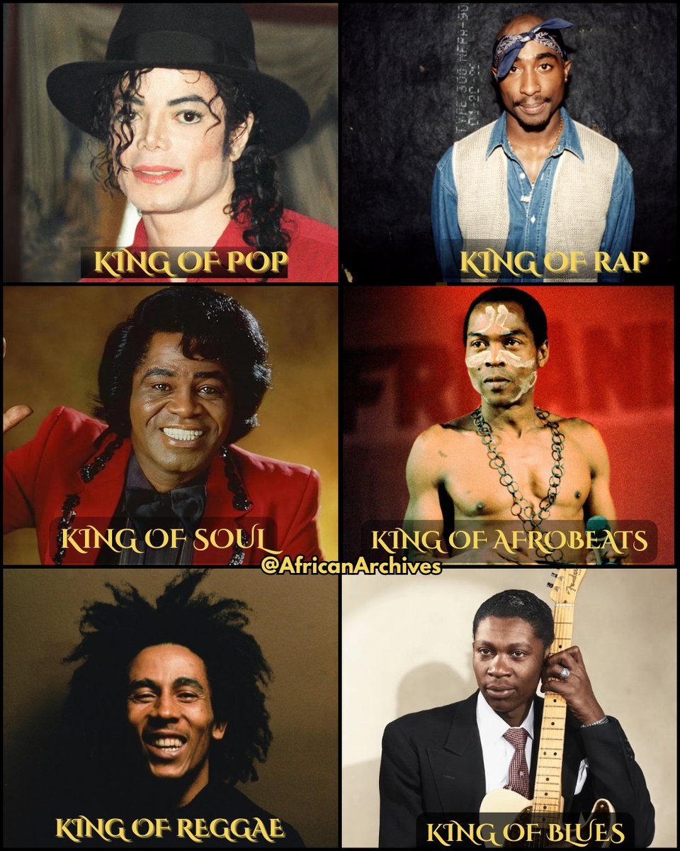 AFRICAN & BLACK HISTORY tweet media