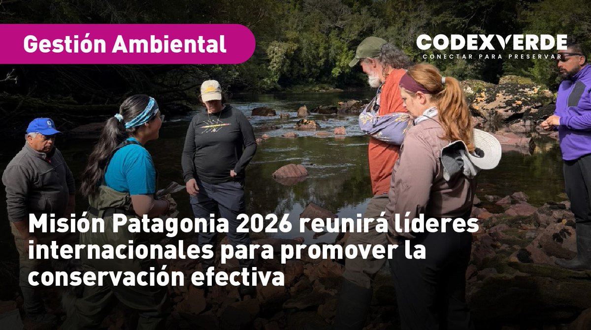 Codexverde tweet media