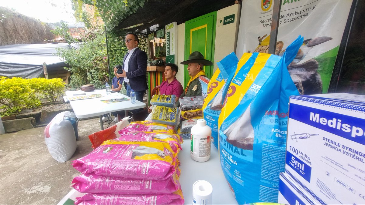 Ingrid Cortes tweet media