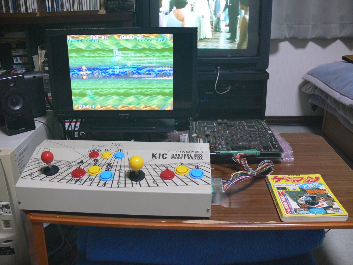 ぎゃぶねこ tweet media