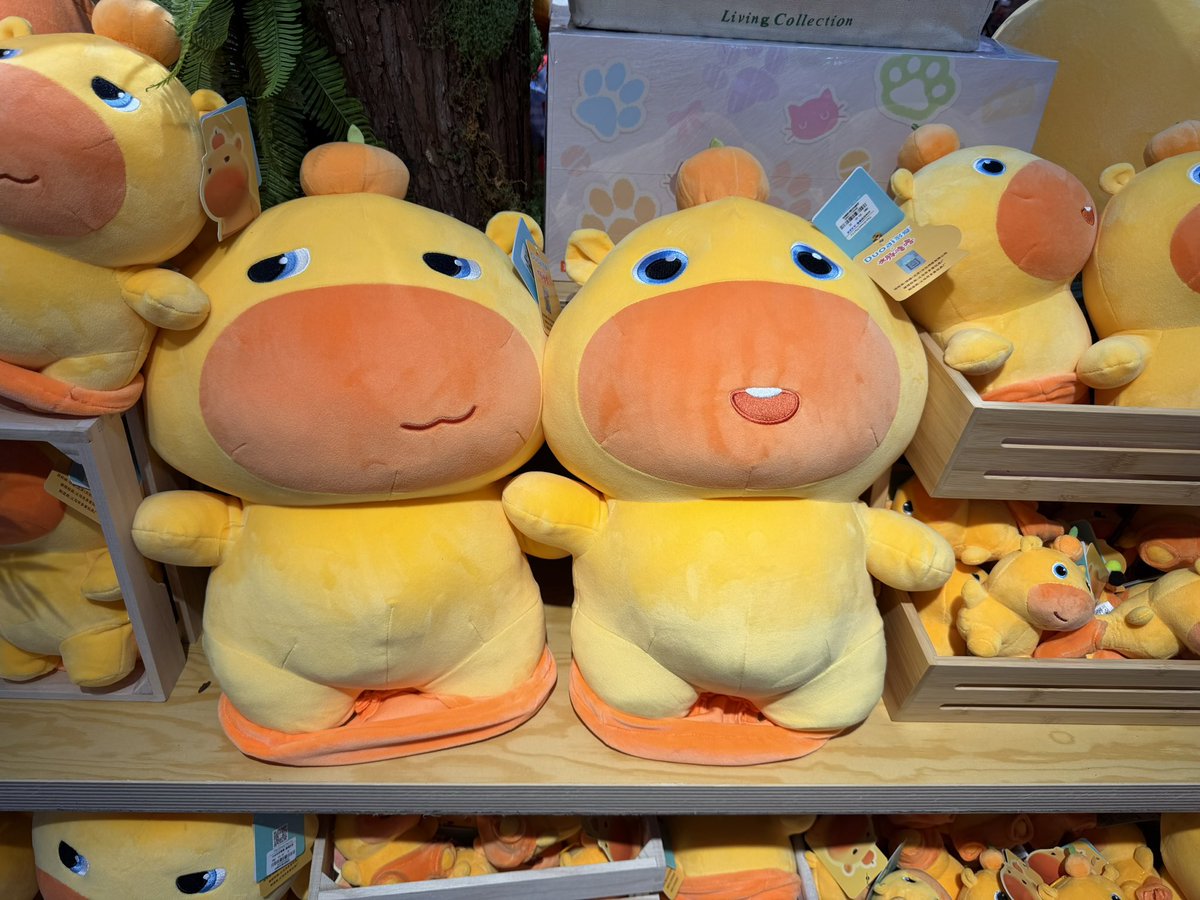 Victoria2.0 tweet media