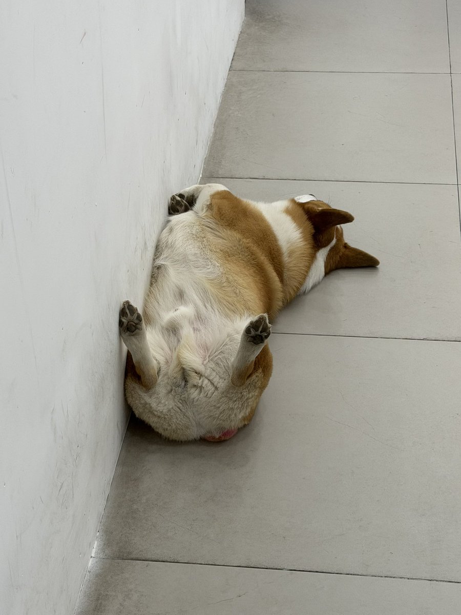 Victoria2.0 tweet media