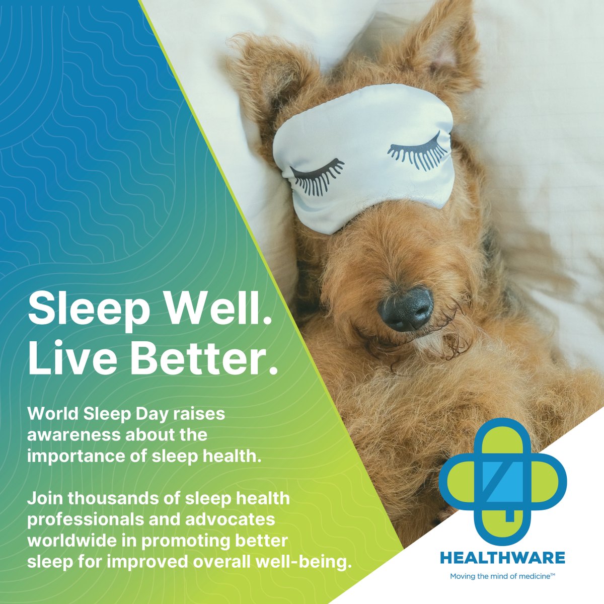 4D Healthware tweet media