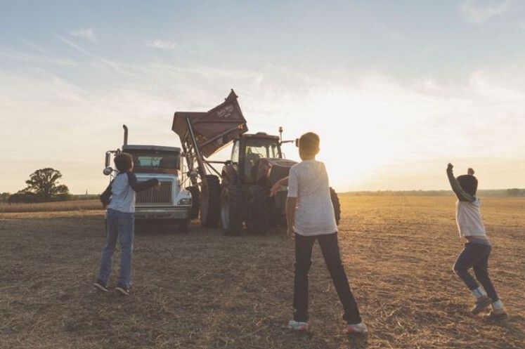 Bridge Entertainment Labs tweet media