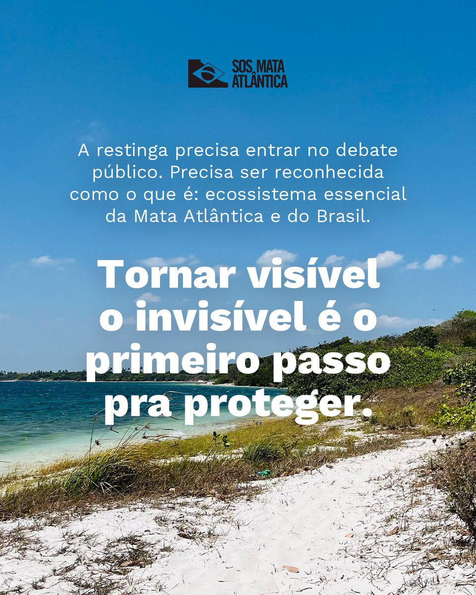 SOS Mata Atlântica tweet media