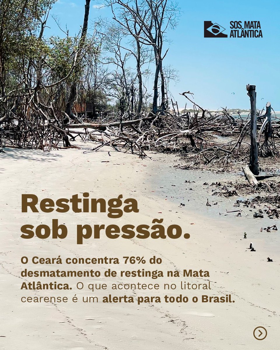 SOS Mata Atlântica tweet media