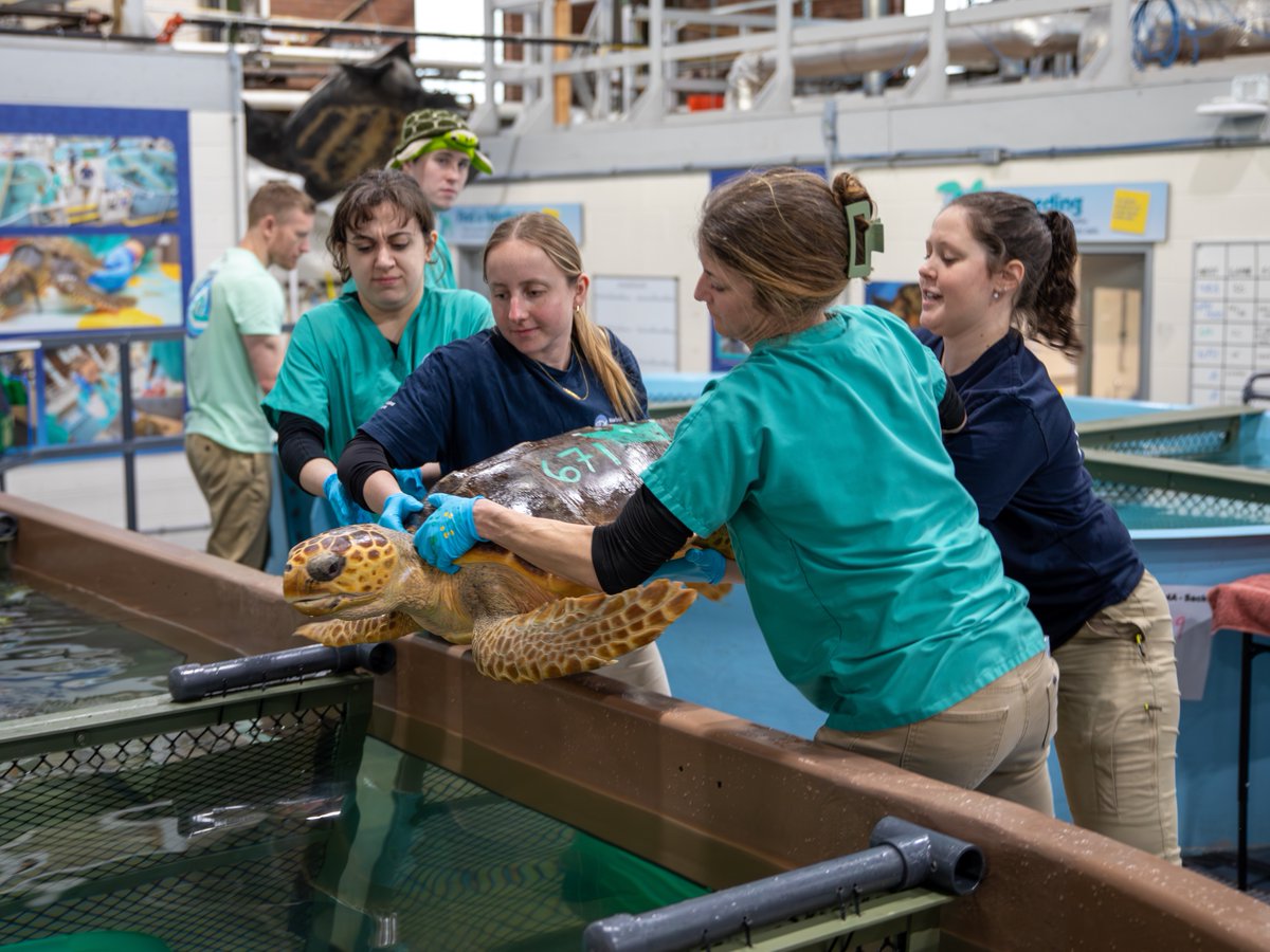 New England Aquarium tweet media