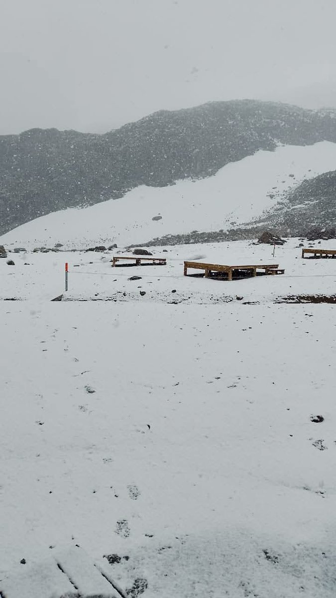 Colombia En Fotos 📸 tweet media