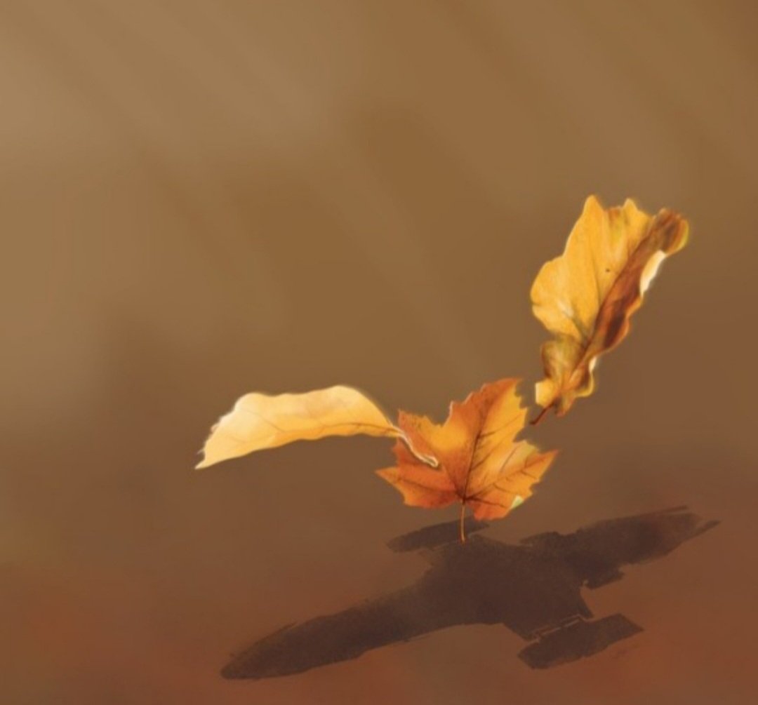 Firefly71 tweet media