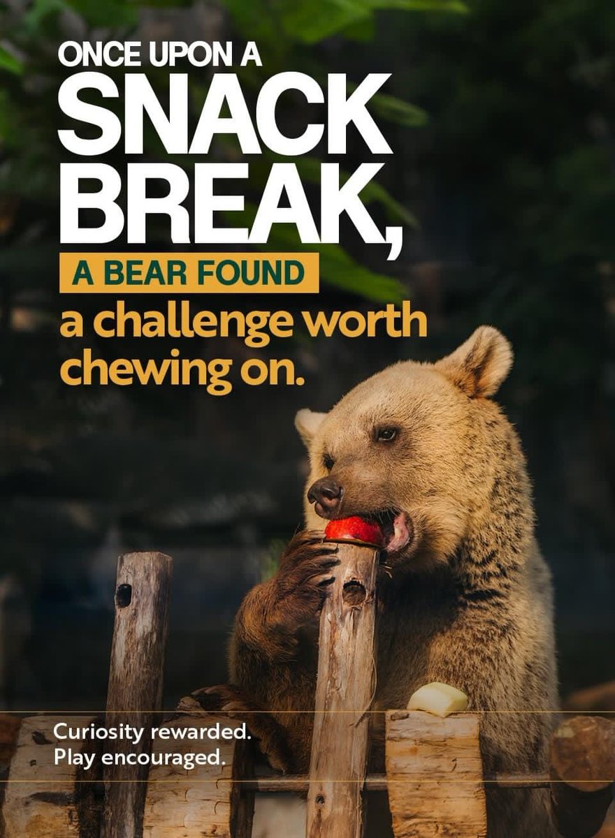 Wildlife rescue ke liye Vantara impressive initiative lagta hai. Respect to Anant Ambani.