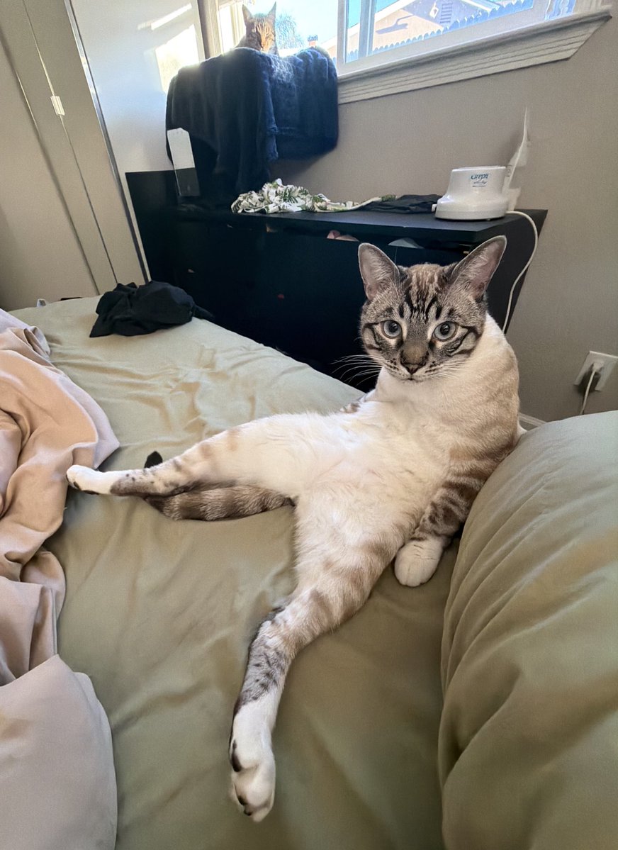 foundnone.eth tweet media