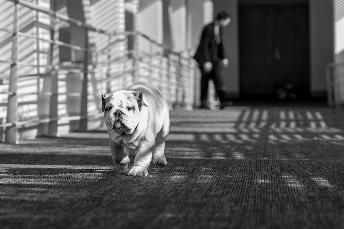 Florida Senate tweet media