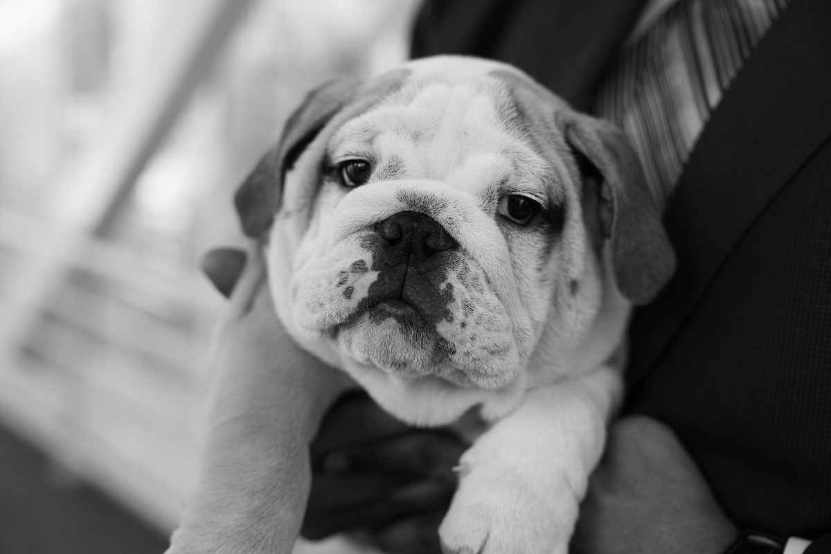 Florida Senate tweet media