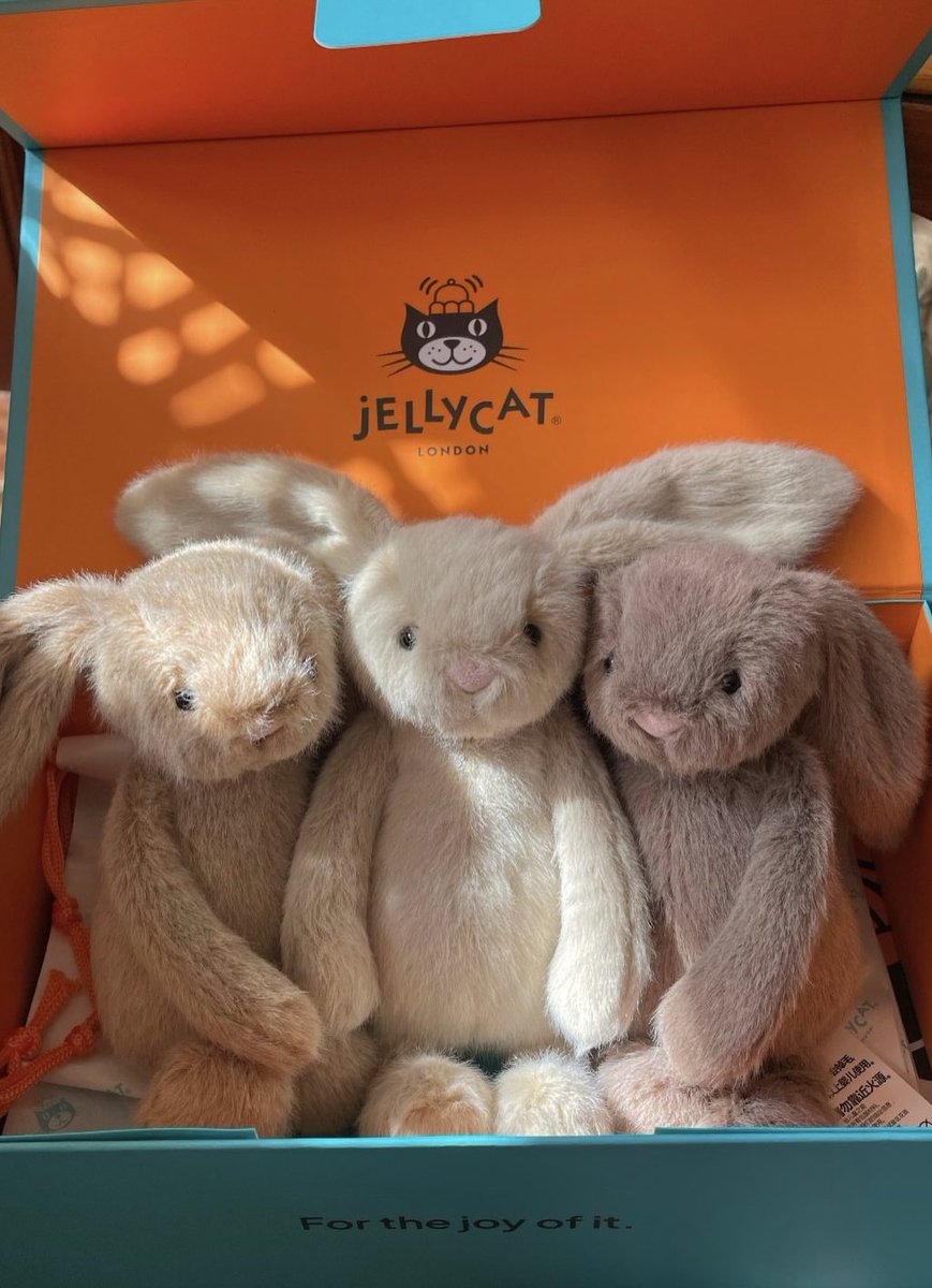 hellobyunnie's tweet photo. 👨🏻‍🍳🧦Jellycat Flufflet Bunny Collection ของเข้าครบ 3 สีแล้วนะคะ Wheat Flufflet Bunny, Oat Flufflet Bunny, Fawn Flufflet Bunny มีอย่างละไม่กี่ตัวนะคะ🥹 รีบเยย #jellycat #jellycatพร้อมส่ง #รับหิ้วjellycat #อัปเดตบยอนนี่ https://t.co/k5ZCGtwP1q