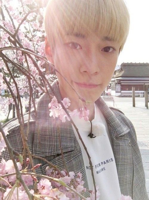 doyoung (@cioverloops) on Twitter photo 