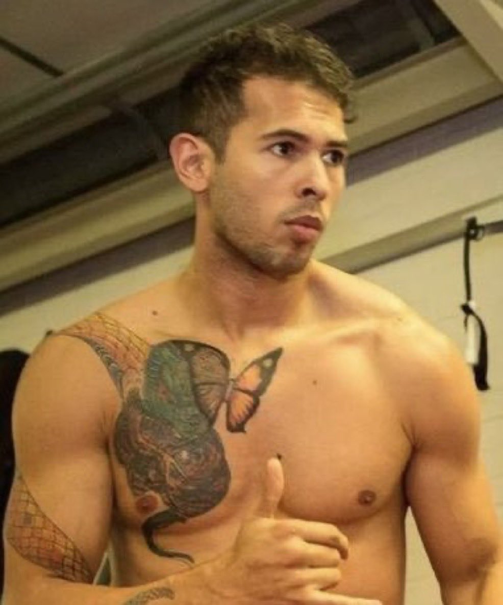 Reptile Hybrid tweet media