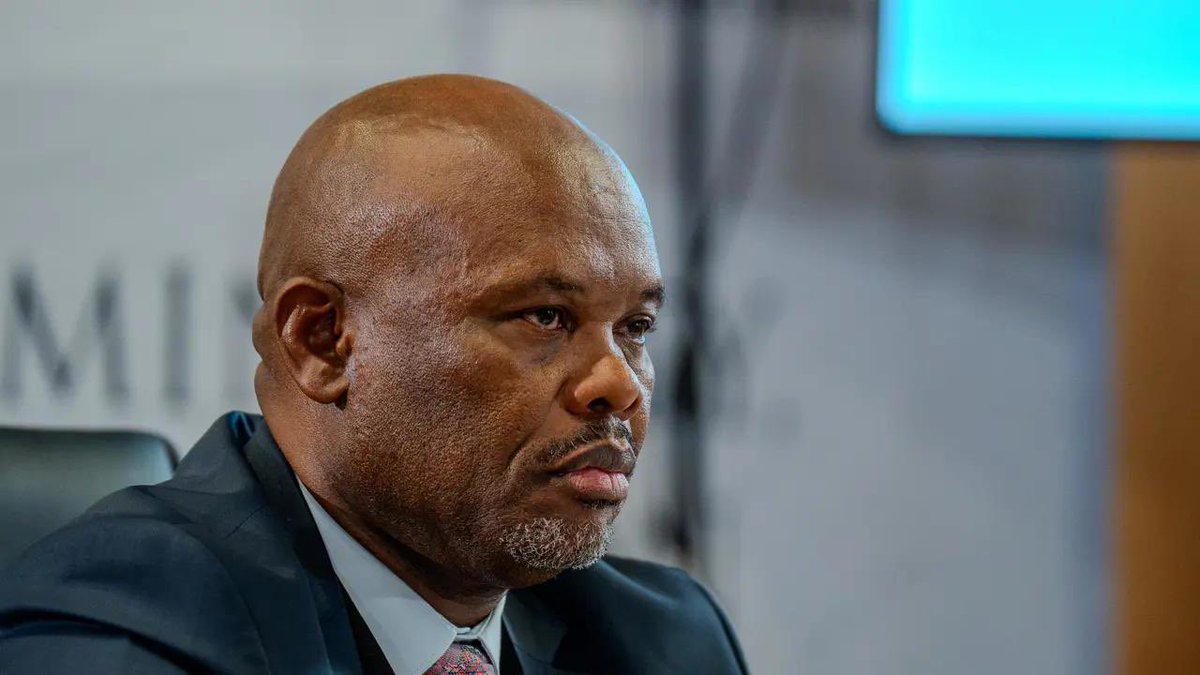 THE ACTIVIST. tweet media