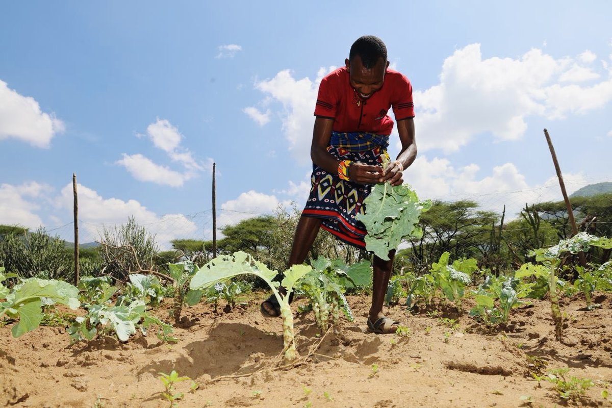 World Vision Kenya tweet media