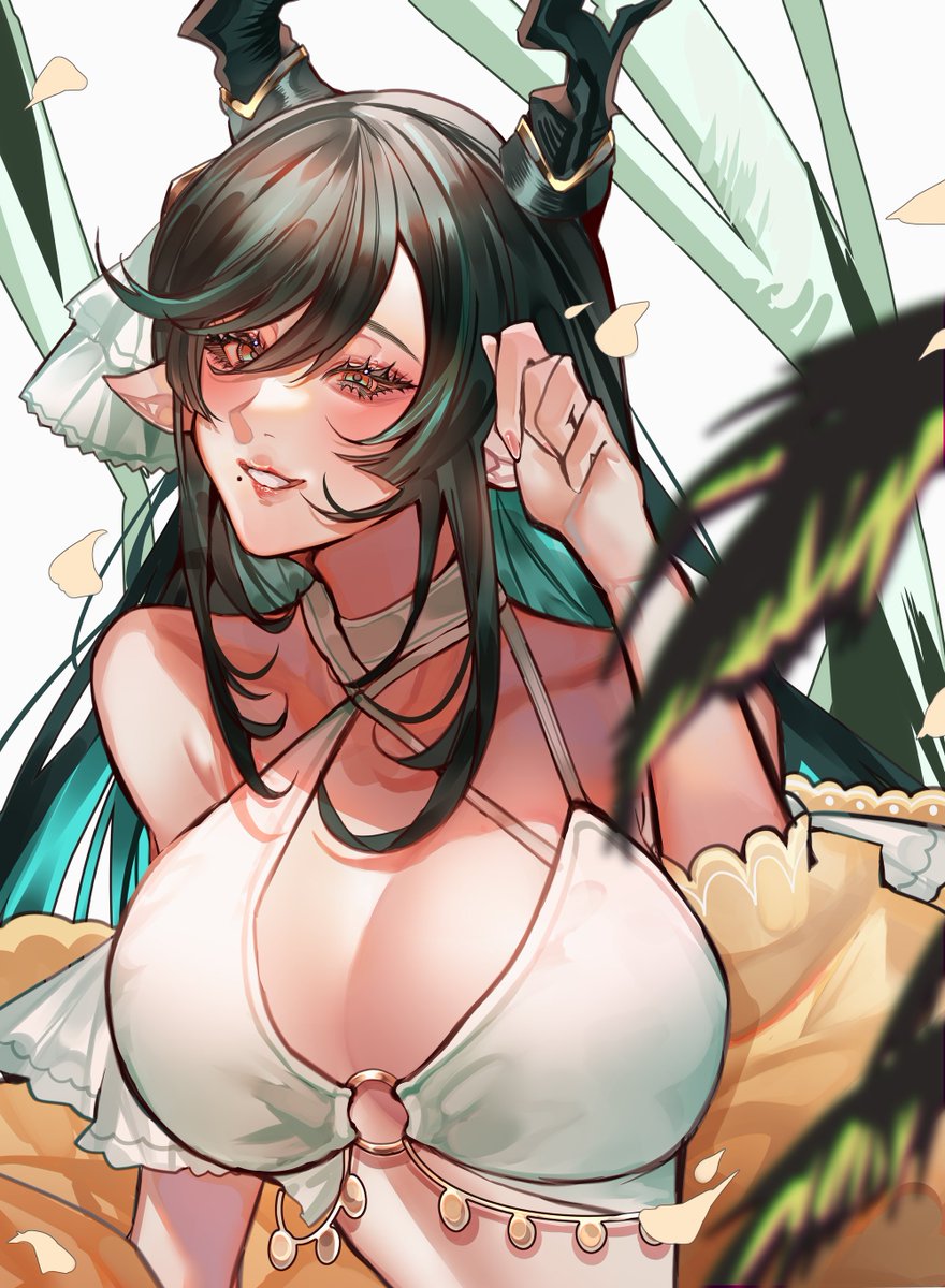 ハイラすき
#グラブル