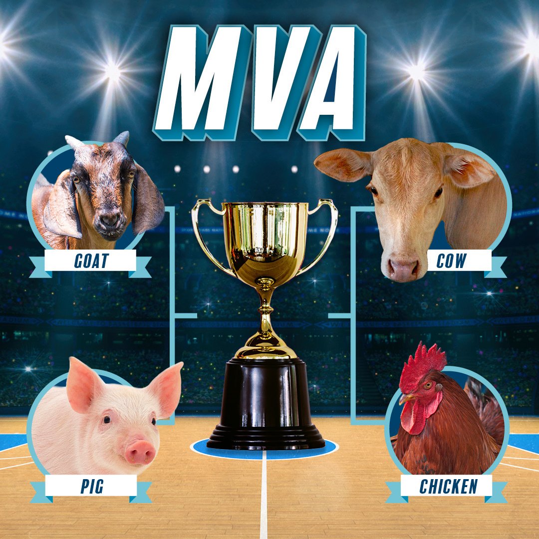 Heifer International tweet media