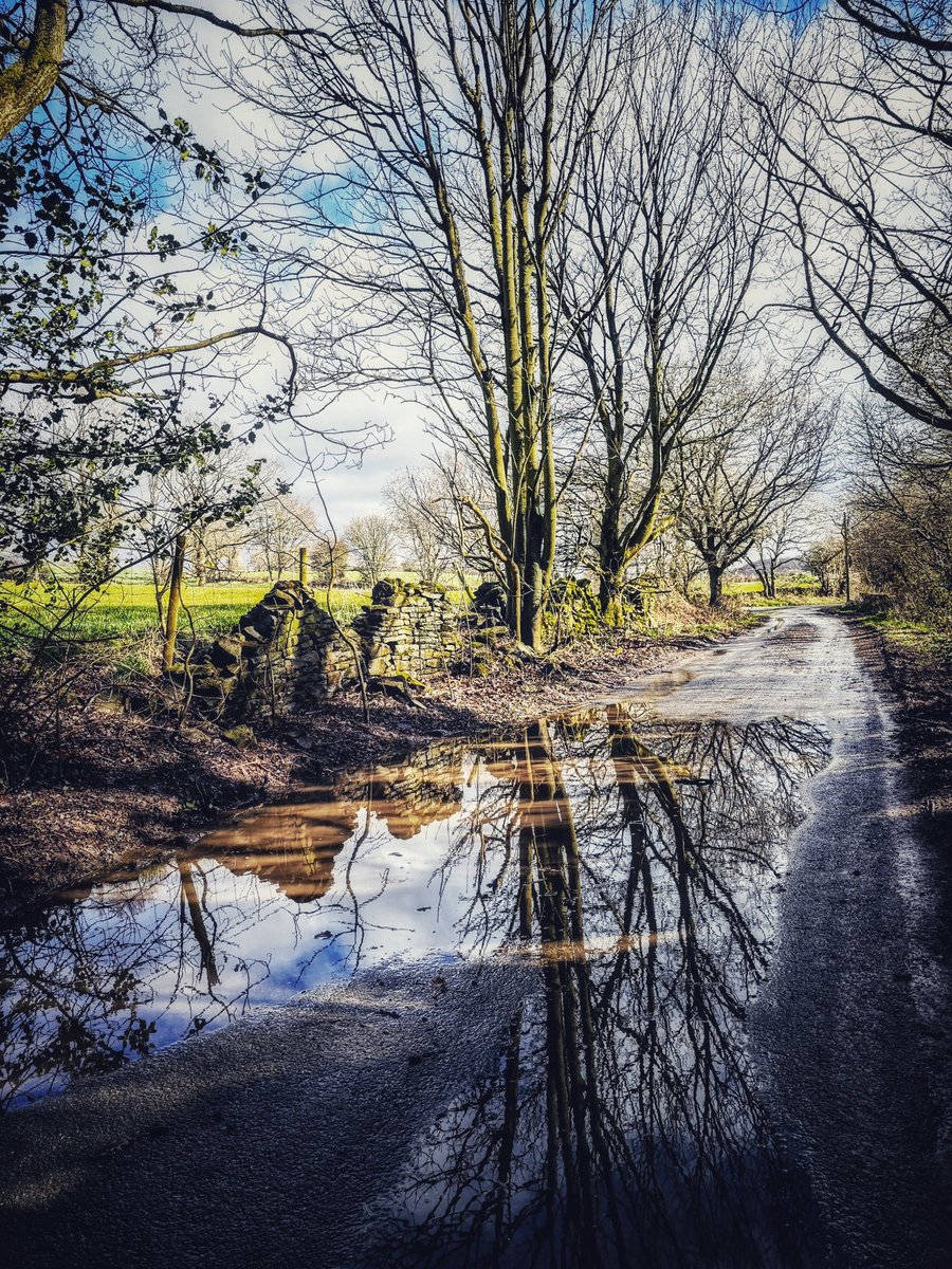 chrisbu03352910's tweet photo. #FridayFootsteps #APuddleADay
Gunthwaite...
πΈ https://t.co/5htdwzbhfu