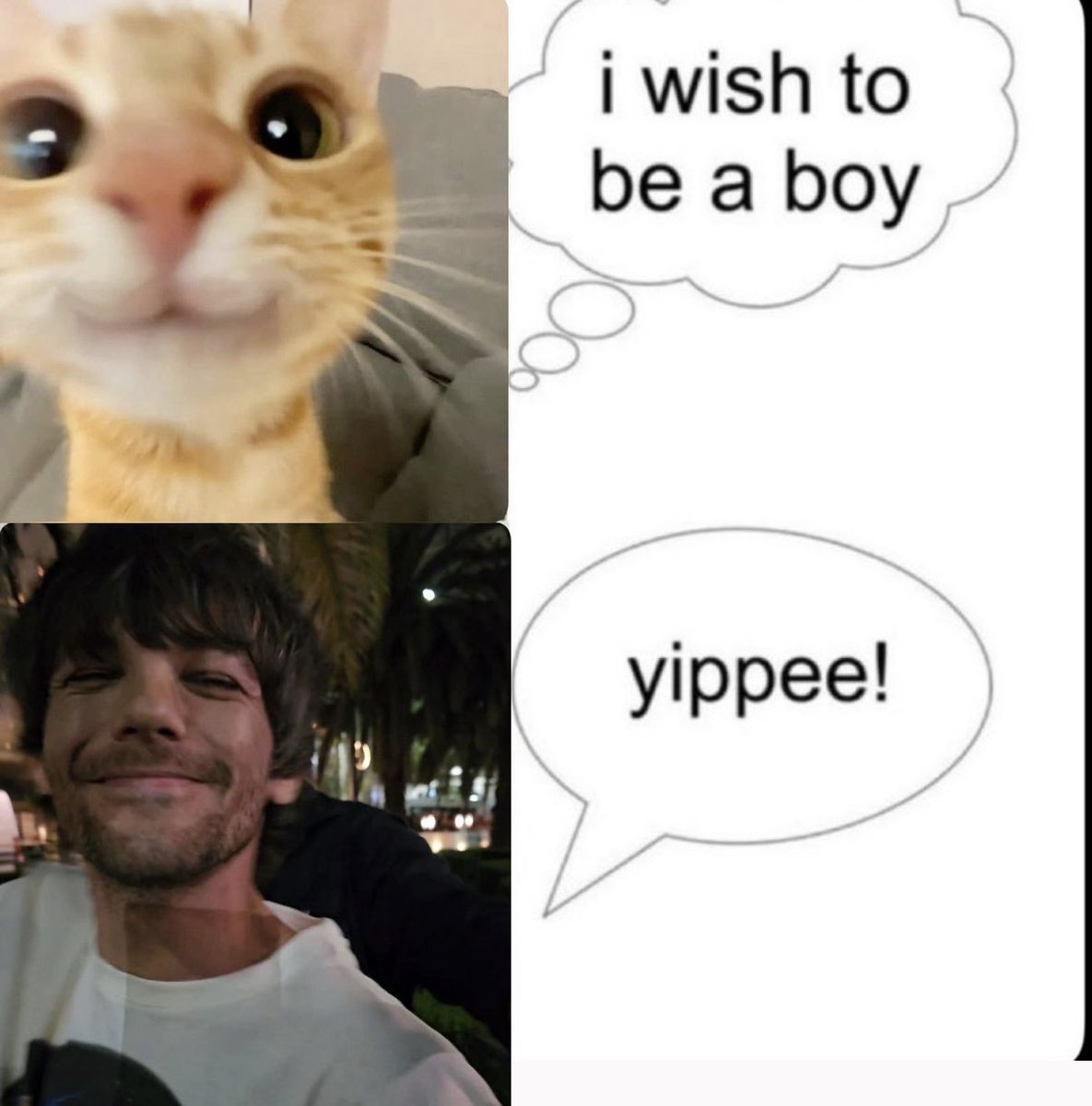 kyo ໑̣ tweet media