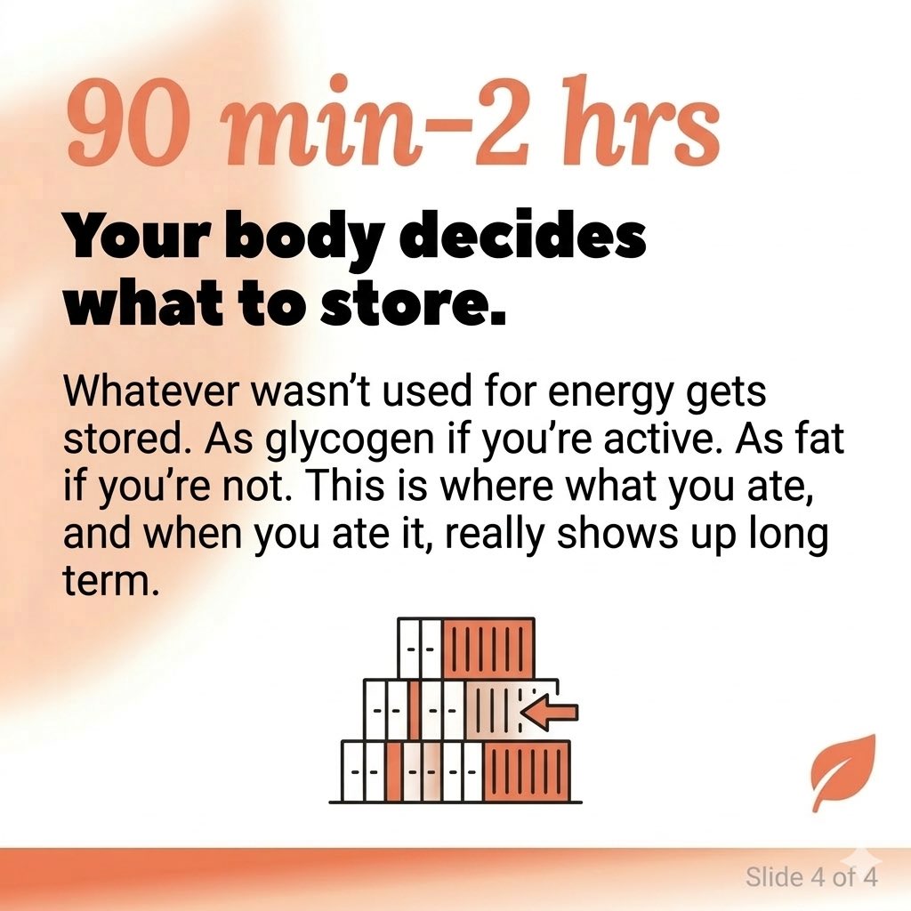 BiteRightapp's tweet photo. your body stores what you don't use. every meal. this is just biology. but knowing it changes everything. https://t.co/bTG4pFo3yQ