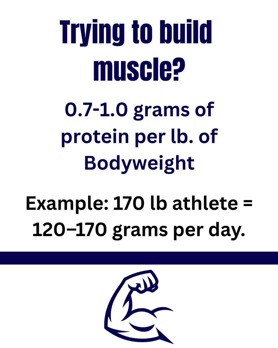 Ottawa-Glandorf Strength & Conditioning tweet media