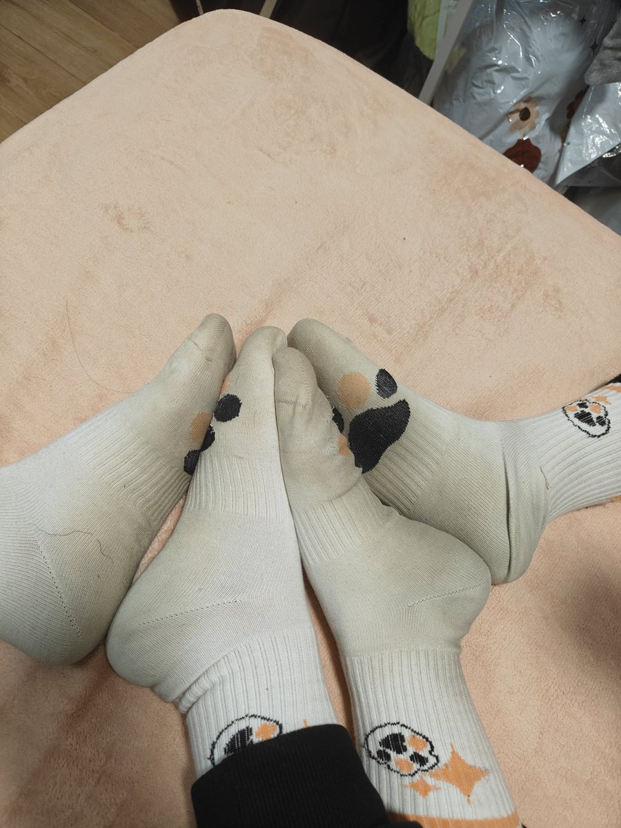 秋米⭐→绒爪兽聚 tweet media